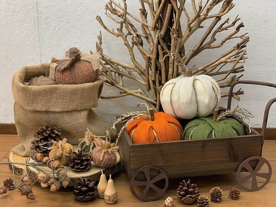 salut!さんのインスタグラム写真 - (salut!Instagram)「𖠿 natural autumn interior 𖠿 ﻿ ﻿ 本日よりsalut!では秋の収穫祭を開催！﻿ まだまだ暑い日が続きますがお部屋のインテリアから秋を先取りしませんか。﻿ ﻿ ﻿ 他にも新商品が多数入荷しておりますので﻿ 是非チェックしてみてください𓂃⚑﻿ ﻿ ﻿ 公式通販サイト﻿ @salut_shop  トップページURLよりご確認くださいませ⋆*❁*﻿ ﻿ ﻿ 画像掲載商品﻿ ・ジュートカボチャ ¥550(taxin)﻿ ・ニットカボチャ ¥550 (taxin)﻿ ・ミニニットカボチャ¥220 (taxin)﻿ ・切り株プレートM ¥550 (taxin)﻿ ・ブランチツリーオブジェ ¥2200(taxin)﻿ ・ウッドミニカート ¥1650 (taxin)﻿ ・ジュート巾着 ¥330 (taxin)﻿ ﻿ ﻿ ﻿ ※店舗により入荷時間や在庫数が異なります。﻿ ご来店の前にお近くの店舗までご確認くださいますようお願い致します。﻿ ﻿ ﻿ #サリュ #salut #まいにちインテリア ﻿ #autumn #オータムカラー #カボチャ #かぼちゃ #収穫祭 #秋の雑貨 #秋色 #秋 #どんぐり #落ち葉 #まつぼっくり #木の実 #木製品  #プチプラ #プチプラ雑貨 #プチプラインテリア #プチプラ小物 #プチプラ通販 ﻿ #インテリア雑貨 #インテリア小物 #インテリア ﻿ #ナチュラルな暮らし #ナチュラルインテリア #ナチュラルコーデ #ナチュラル　#smileispower_p﻿」8月24日 10時31分 - salut_shop