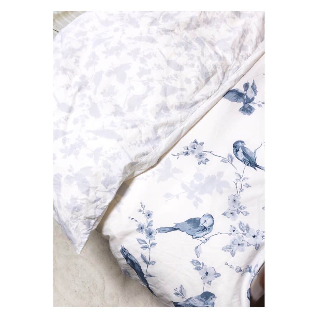 MIHOのインスタグラム：「【cathkidston】  私達が20代、30代は大好きだったキャスキッドソン  なんとも時代というか...残念すぎる日本でのコロナ倒産  これからは本国と、オンラインで展開だそうで、Amazon UKやバイマで買えます  支援とか仰仰しい感じではなく、探していたこともあり、せっかくだからキャスでなんか一つ新調しようと眺めてたら大人っぽいラインの寝具を発見☺︎  britishbirdという、表が白地にランダムに青い鳥、裏が一面グレーの鳥の切り抜き  リバーシブルとか... 好きに決まってるね☺︎  と  お迎え☺︎  最近は眠ることを大切にしていて、22時すぎには船を漕ぐ日々  更新を怠っていたら心配していただきありがとうございます☺︎  この時期の撮影は、冬服続きで熱中症になったようでしたが、すこし涼しさも感じて激暑超えた気がしますね  私はアイスクリームを我慢してダルダルしております☺︎  今日も良い1日を  #cathkidston  #uk #london #britishbird #キャスキッドソン #寝具 #睡眠 #ベットカバー #鳥」