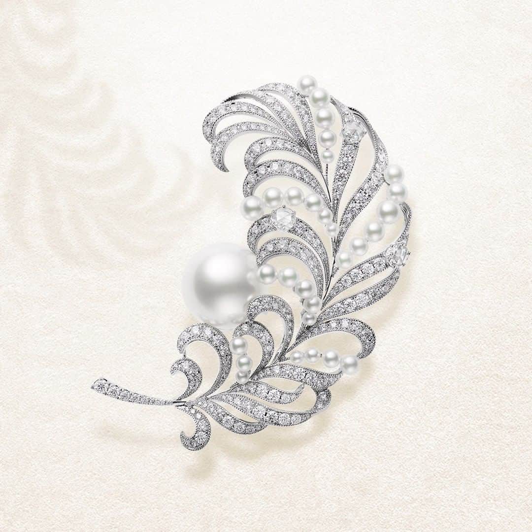 Mikimotoさんのインスタグラム写真 - (MikimotoInstagram)「Introducing the “Mikimoto Feather Collection”﻿ ﻿ Stay tuned to explore the boundless beauty ﻿ of our latest feather motif creations.﻿ ﻿ しなやかで美しい羽根を描いた﻿ 「ミキモト フェザー コレクション」。﻿ ﻿ #MIKIMOTO ﻿ #MikimotoFeatherCollection﻿ #HighJewelry」8月24日 11時00分 - official_mikimoto