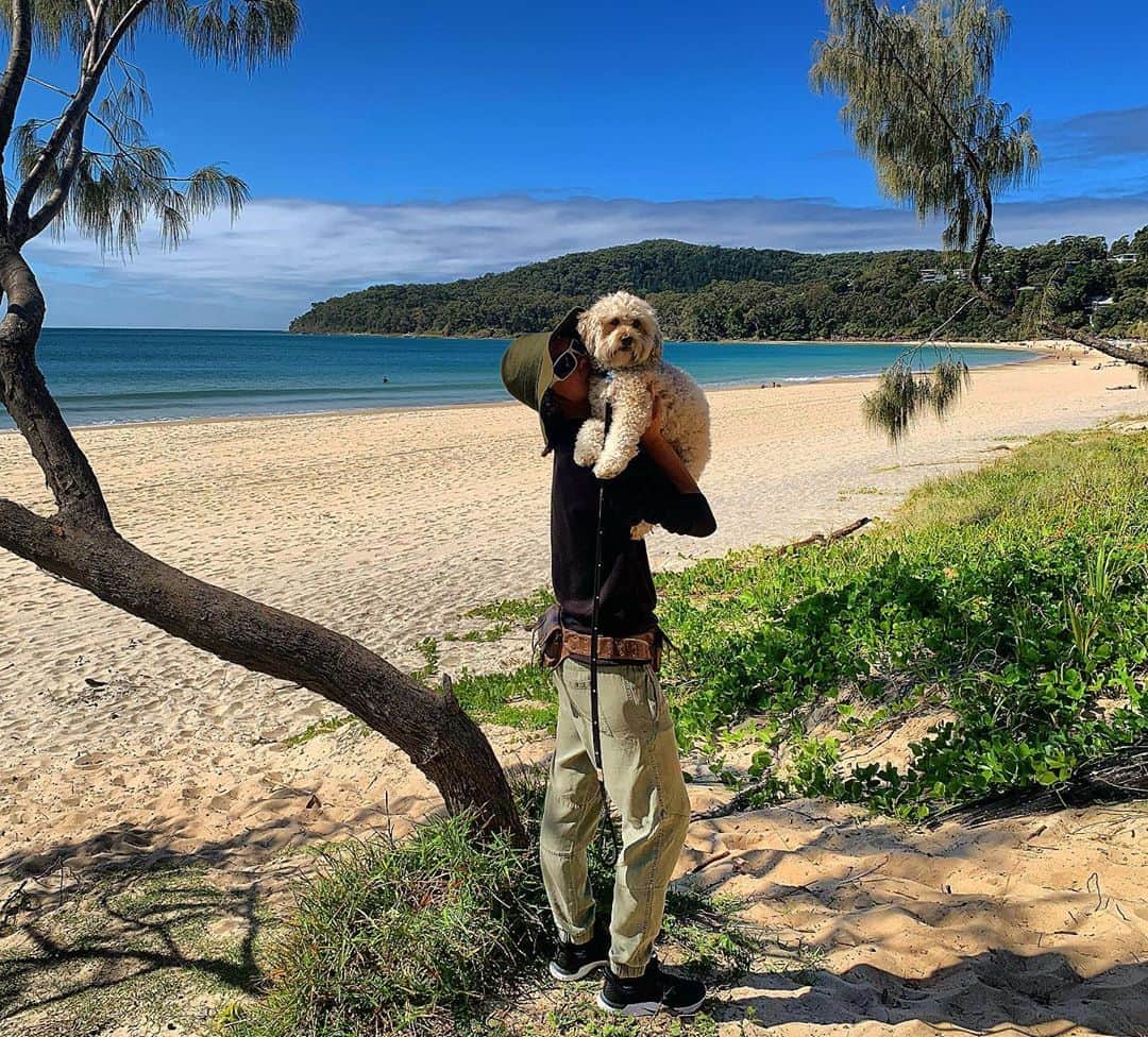 シャーニ・ヴィンソンのインスタグラム：「Back in #paradise with my #travelbuddy @jaggerpoo 🏝 #Noosa #SunshineCoast #QLD #Australia #beachlife #beachdays」