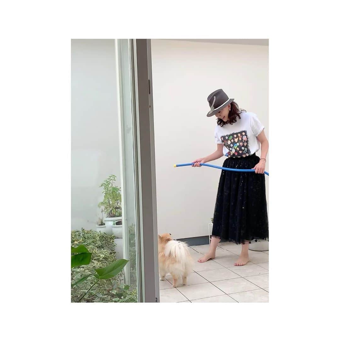 とよた真帆さんのインスタグラム写真 - (とよた真帆Instagram)「夏になると特に''ぱるる"のお水遊びの要求が激しくなります^_^  2枚目の動画 帰宅早々、お水遊び！  この後、着替えてテラスをデッキブラシでゴシゴシと掃除しましたよ〜薄ら黒い汚れが付いていたのでクレンザー使ってみましたが完璧には取れず色々、試行錯誤しなくては😅  Tシャツは大好きなアーティスト #キングヌー  @kinggnu.jp のもの。  アルバムも全て買い歌を練習中、本当に難しくて歌えるようになるには何年もかかりそう〜才能の塊。素晴らしいメンバーで大尊敬してます。ライブ配信も楽しみです  レーススカートは @pdst.jp  @ottodame_jp   帽子は @misaharadamillinery  #ミサハラダ さん  #maho #mahostyle #fashion  #アーティスト #tシャツ  #夏  #みずあそび  #掃除  #dog #pomeranian  #保護犬」8月24日 11時49分 - maho_toyota