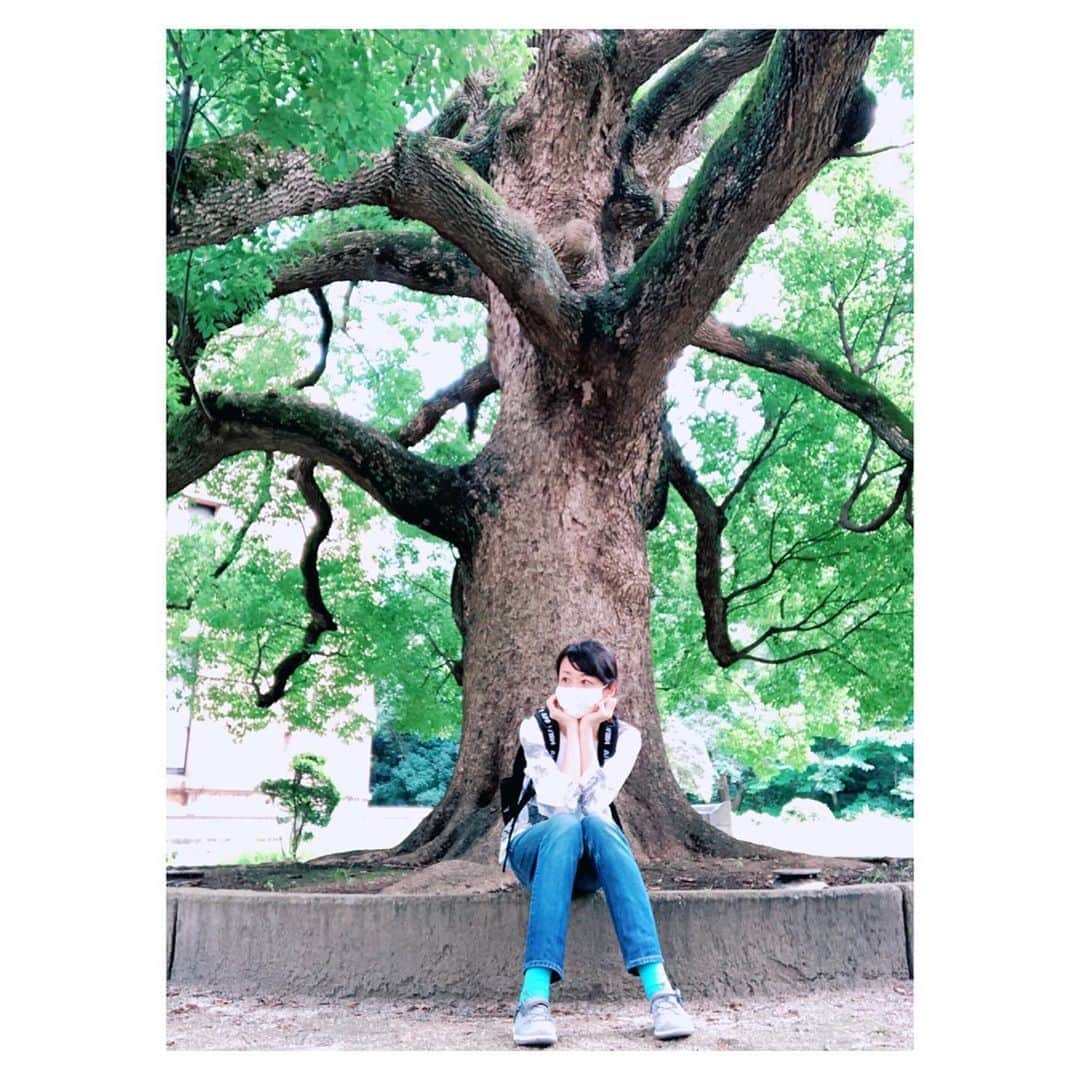 理絵さんのインスタグラム写真 - (理絵Instagram)「バス🚌がなかなか来ないので木陰で座って待機中🌳  #木陰 #森林浴 #木 #待ち時間 #待ちぼうけ #元宝塚 #宝塚og #tokyo #japan」8月24日 11時59分 - ____rie____