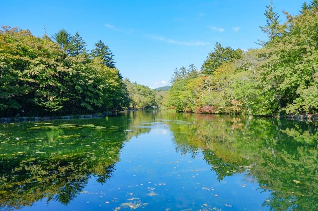 THE GATEのインスタグラム：「【 Lake Kumoba// #Karuizawa 】 Lake Kumoba, located about 20 minutes by foot from Karuizawa Station, is beautiful, clear lake that acts as a mirror for its surrounding forest.  l The fall foliage is particularly scenic, with all of the leaves on the surrounding forest trees changing into hues of reds and oranges. . ————————————————————————————— ◉Adress Karuizawa, Karuizawa-machi, Kitasaku-gun 389-0102, Nagano Prefecture ————————————————————————————— Follow @thegate.japan for daily dose of inspiration from Japan and for your future travel.  Tag your own photos from your past memories in Japan with #thegatejp to give us permission to repost !  Check more information about Japan. →@thegate.japan . #japanlovers #Japan_photogroup #viewing #Visitjapanphilipines #Visitjapantw #Visitjapanus #Visitjapanfr #Sightseeingjapan #Triptojapan  #粉我 #Instatravelers #Instatravelphotography #Instatravellife #Instagramjapanphoto #karuizawajapan #kumobaike #lakekumoba #Summerresort #避暑勝地 #피서지 #lugardeveraneo #kumobapond #pond」