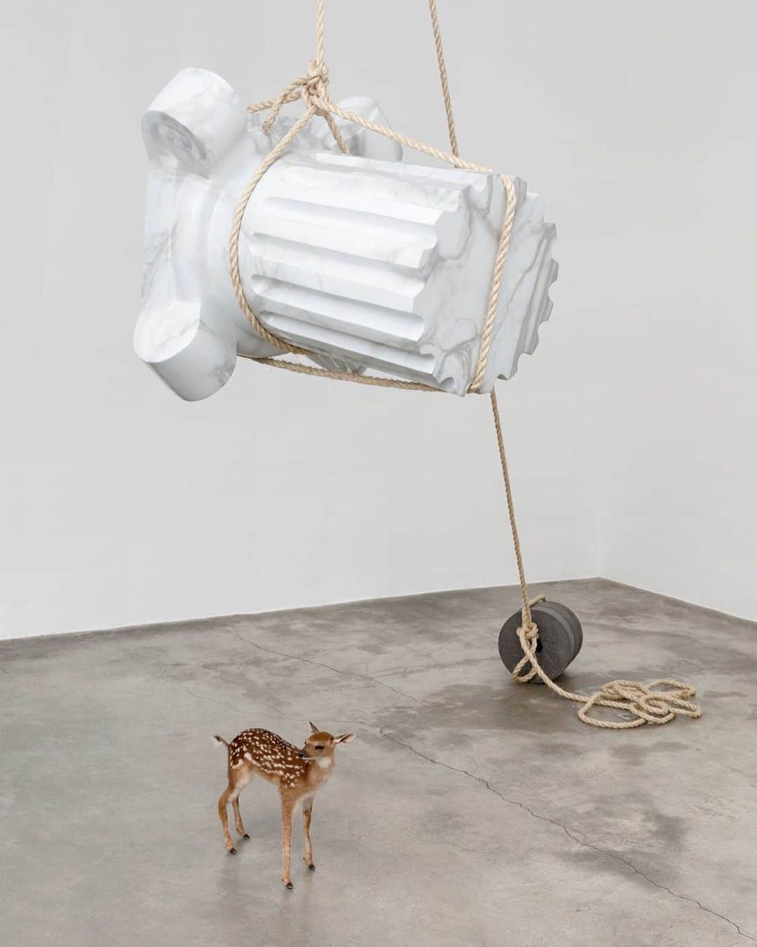 ポールカさんのインスタグラム写真 - (ポールカInstagram)「Inspired by art ... «To be Preserved without Scandal and Corruption», 2020. Solo show of⠀ @el_senor_del_veneno at @galerieperrotin⠀  ⠀ #PauleKa #inspiration #GabrielRico #Perrotin #GaleriePerrotin #contemporaryart #installation #sculpture」8月24日 17時29分 - paulekaofficiel