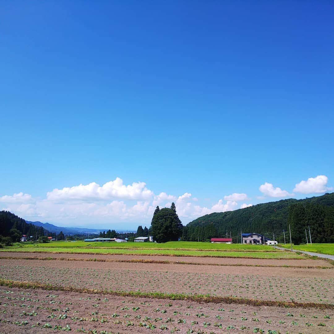 みながわゆみのインスタグラム