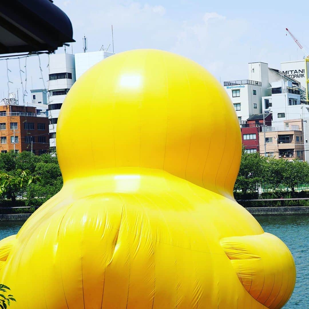 奇妙礼太郎さんのインスタグラム写真 - (奇妙礼太郎Instagram)「#yellow 溶けてなくなりそうなのでビール。延命。」8月24日 12時32分 - reitaro_strange