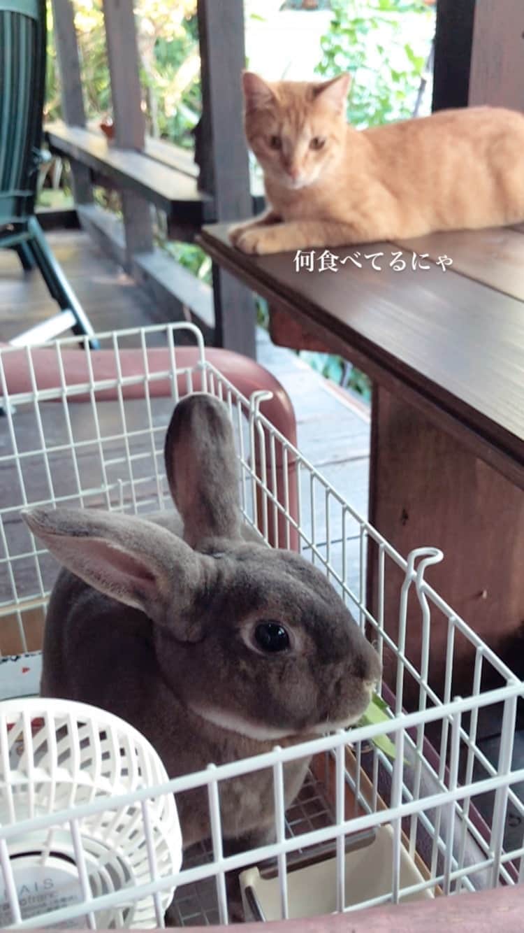 Kayoのインスタグラム：「ある日のふたり🌱 ソーシャルディスタンス」