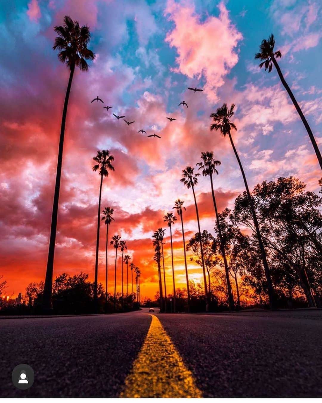 scottlippsのインスタグラム：「Take the road less traveled... sunset vibes and fluorescent skies in #la #goodnight #sundays by 📷 @paolo.fortades」