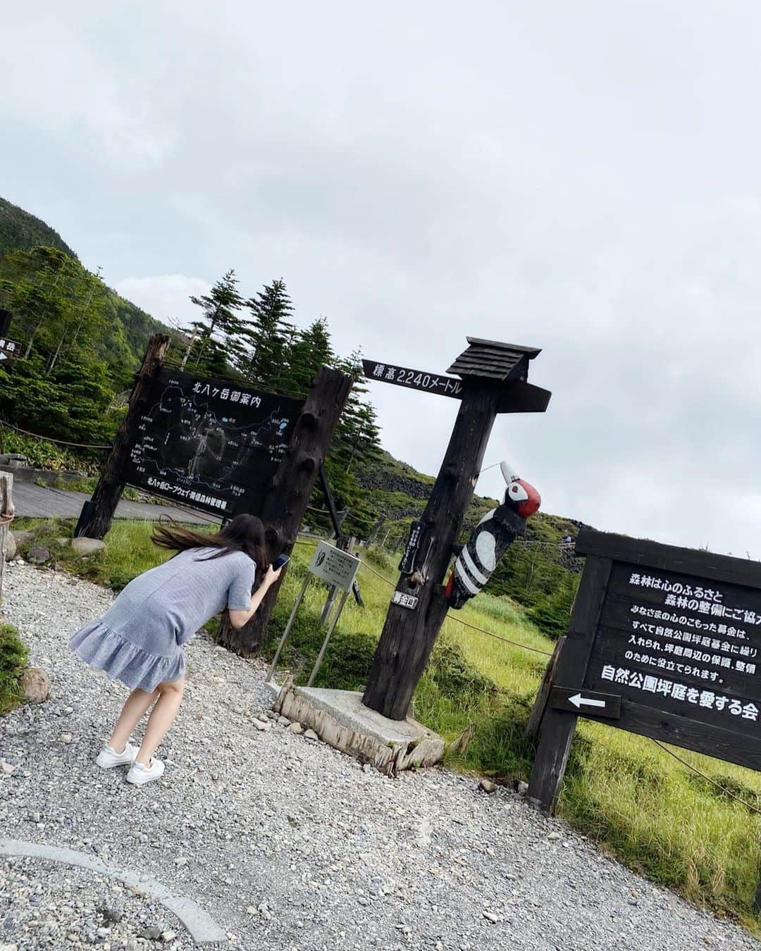 津島衣里のグルメインスタ