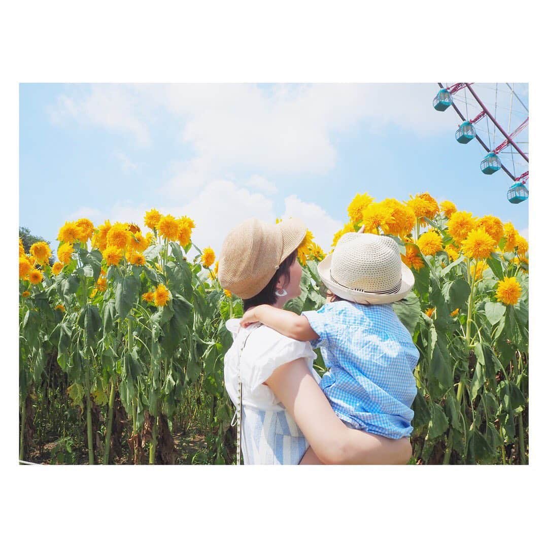 吉田明世さんのインスタグラム写真 - (吉田明世Instagram)「おやすみをいただいていましたが今週からTHE TRADのスタジオに復帰します😊 吾郎さん、ハマさん、 そして代打を務めてくださった chigusaさん、 ありがとうございました🌼 今年はあんまり夏らしいことができていないのですが… 写真は葛西臨海公園と水族園に行ったときのもの。 きれいなお花がたくさん咲いていました。(←お花の名前も書いてあったのに忘れてしまった😪) 写真は外だったので一時的に外していましたが、 水族園や人混みではもちろんマスク😷着用です✨ #葛西臨海公園 #葛西臨海水族園 #ペンギンに会うのを楽しみにしていた娘 #散々興奮して観ていた末に #ペンギンさんちょっとくさい😫 #と言って去って行きました #子どもは素直すぎる #ごめんねペンギンさん #🐧」8月24日 13時55分 - akiyo0414