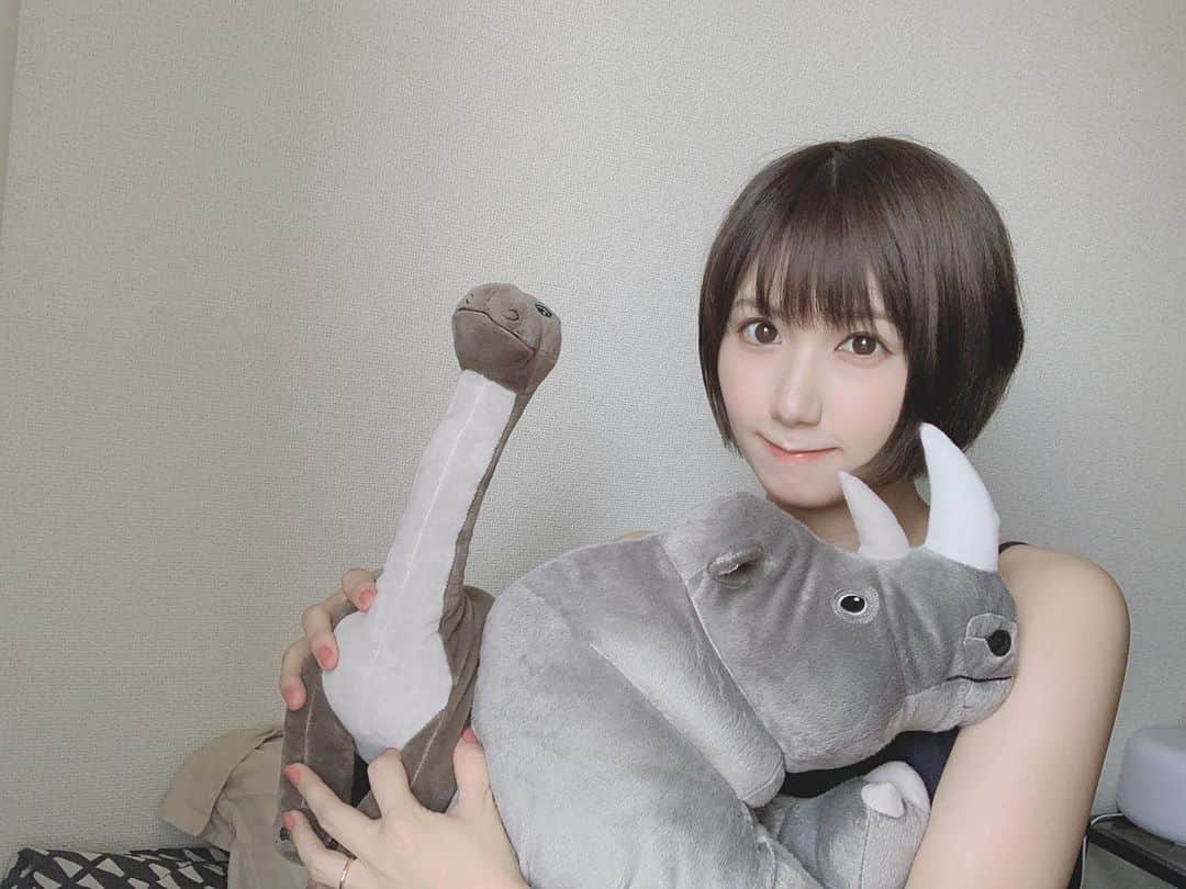 のインスタグラム：「可愛い仲間たち🦕🦏 ベビのん用品が少しづつ増えていきます🍼♡  #ベビー用品　#ぬいぐるみ」