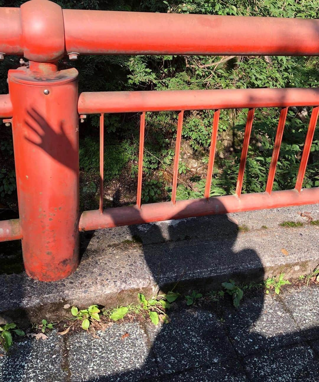 Masha Alexeevaさんのインスタグラム写真 - (Masha AlexeevaInstagram)「finally got out into nature 🌿🌱🌿」8月24日 14時27分 - marualeks