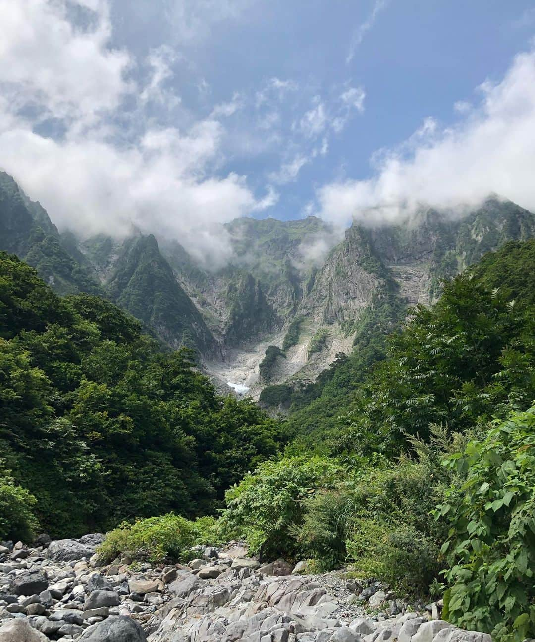 Masha Alexeevaのインスタグラム：「finally got out into nature 🌿🌱🌿」