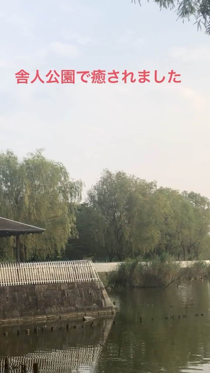 のインスタグラム：「ワンコの散歩をしに 舎人公園に行き癒されました。  #原めぐみ  #舎人公園 #癒し」