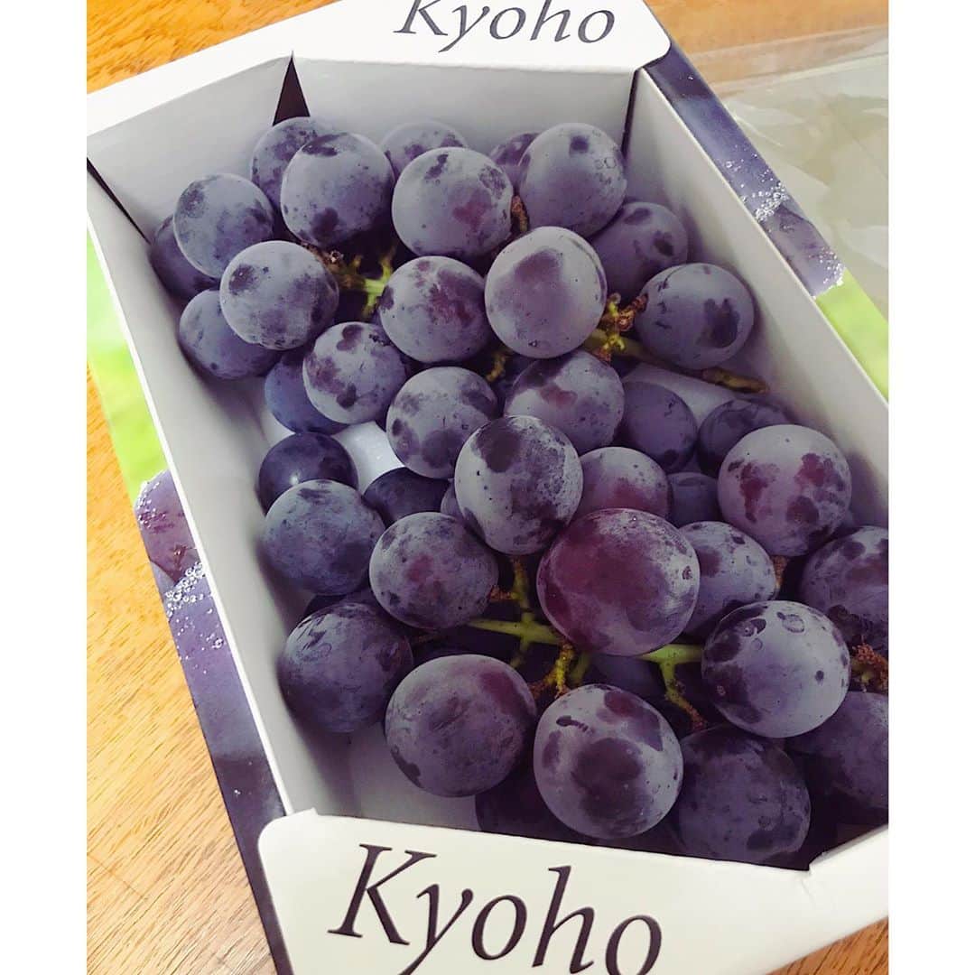 奥村愛子のインスタグラム：「* 巨峰をいただいてしまった😋 冷蔵庫にこれがあるという幸せ 年々ぶどうが好きになる… 少しずつちびちび食べようと思いながら 気づいたら止まらず あぶないあぶない！ あと一個にしとこう …あぶないあぶない！ のくりかえし 🍇🍇🍇🍇🍇🍇🍇🍇」