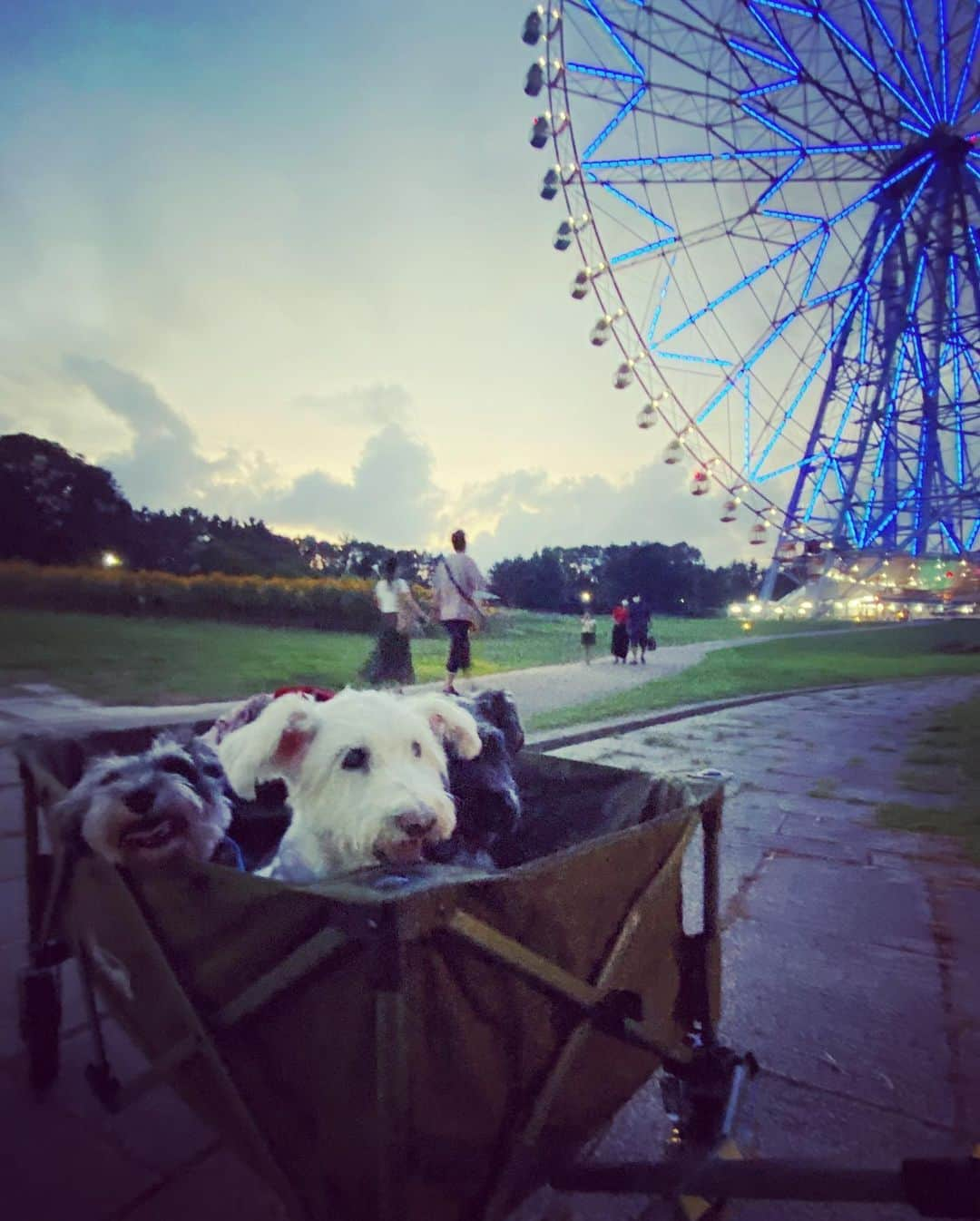 谷川じゅんじさんのインスタグラム写真 - (谷川じゅんじInstagram)「Tokyo sunset cruise. 東京探訪トレーラー、 沈む夕陽を追いかけて。#mutsulannsora #mutsulann #俺も乗りたい #goodvibesonly #goodneighbors #tokyolife #thisistokyo #thisisjapan」8月24日 15時37分 - junjitanigawa