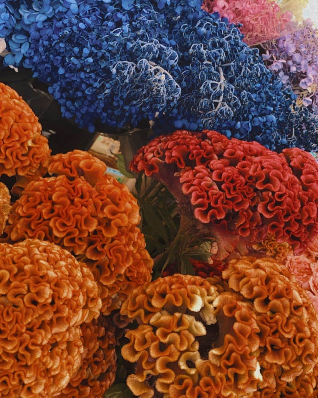 一条ありささんのインスタグラム写真 - (一条ありさInstagram)「華がある生活  I like flowers  #人生映えてますか #farmersmarket #dryflowers #dryflowers #満たされる暮らし」8月24日 17時41分 - arisa_ichijou