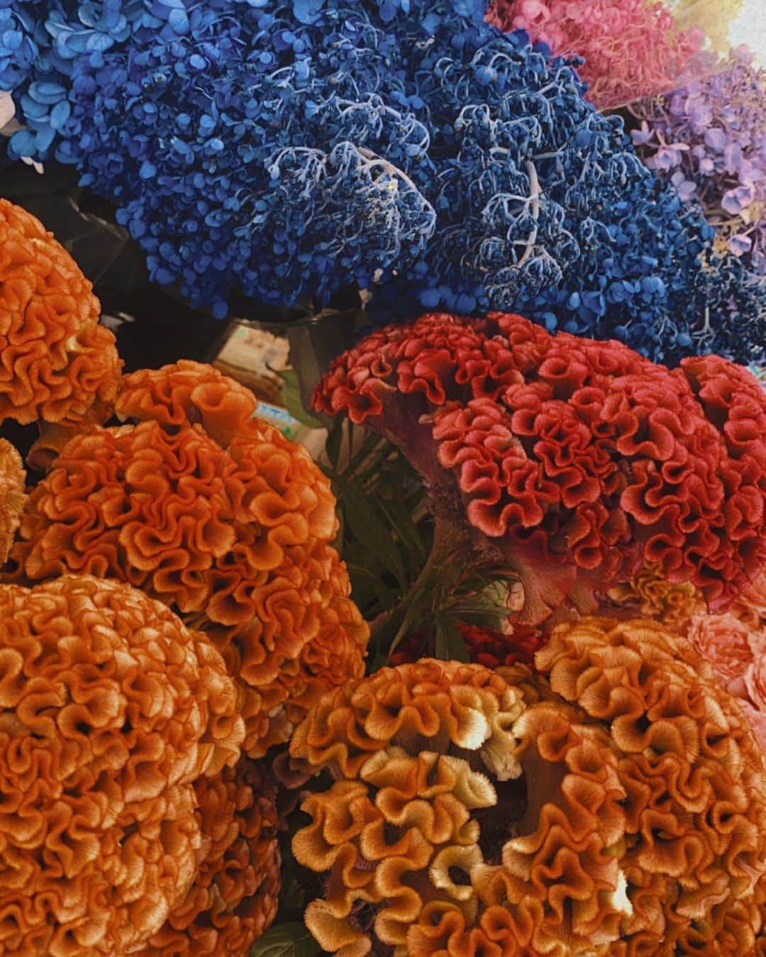 のインスタグラム：「華がある生活  I like flowers  #人生映えてますか #farmersmarket #dryflowers #dryflowers #満たされる暮らし」