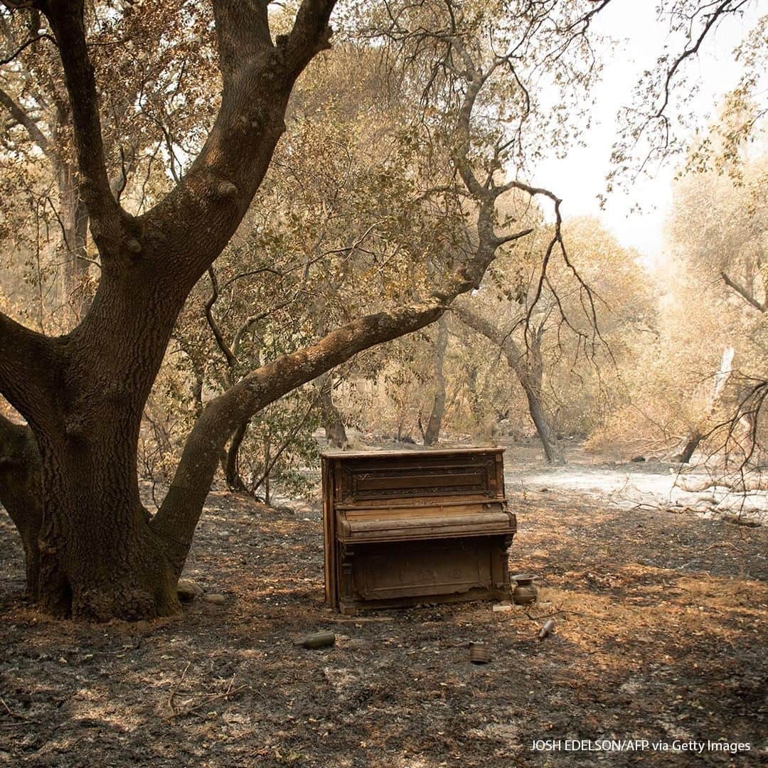 ABC Newsさんのインスタグラム写真 - (ABC NewsInstagram)「A piano remains untouched near the charred remains of a residence during the LNU Lightning Complex fire in Vacaville, California. #wildfires #california」8月24日 18時00分 - abcnews