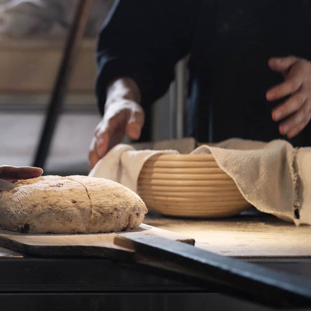 ヒラハルのグルメインスタ