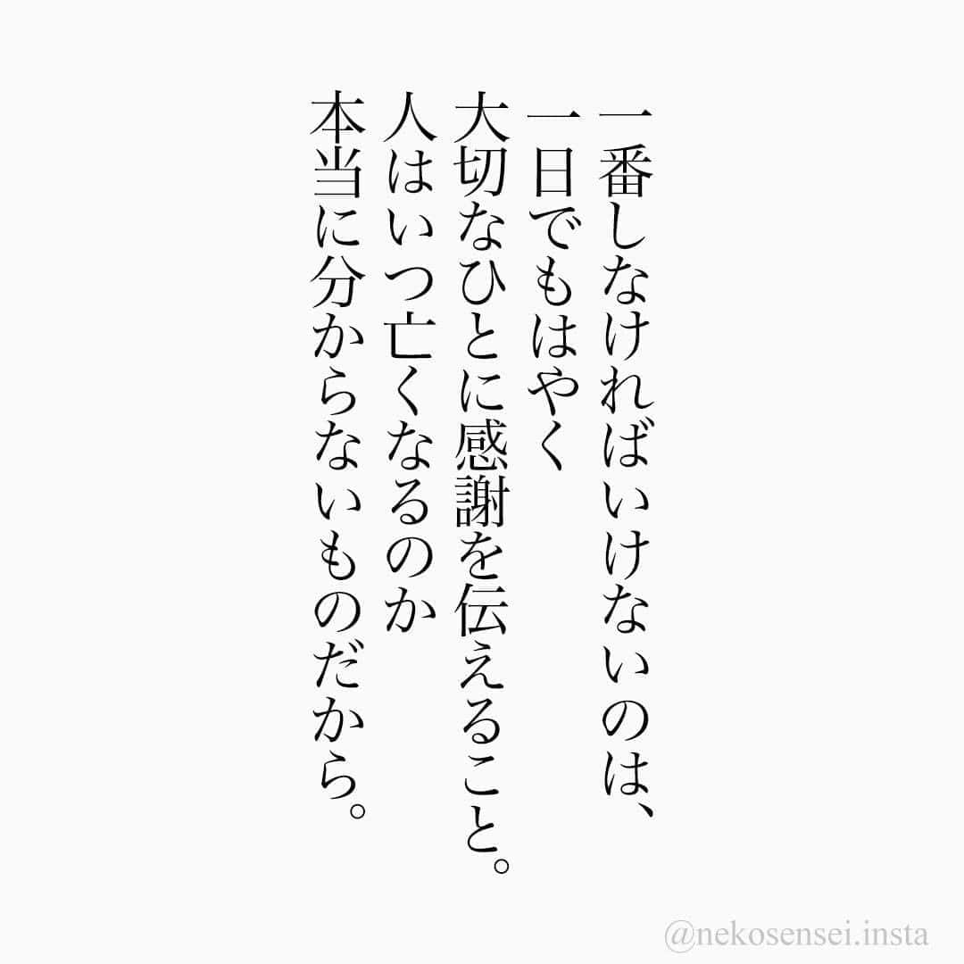 ユメネコ 哲学者さんのインスタグラム写真 ユメネコ 哲学者instagram 名言 格言 今日の格言 言葉 ことば 言霊 言葉の力 自己啓発 人生 生き方 生きる 悩み 相談 心 こころ 心理 心理学 メッセージ エッセイ 哲学 恋 恋愛 8月25日 18時00分