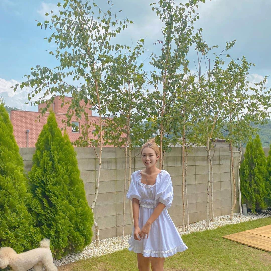 キム・ダヘのインスタグラム：「문의많아서 피드에 올려요 요긴 서울 홍은동 #치코앤치카 에요! 수영장있는것도 너무너무 좋은데 실내인테리어도 대박임 ㅠㅠㅠ 루프탑도 대박임 후... 그리고 사장님도 진짜 친절하셔요 프라이빗 독채에요!! 아쉽게도 숙박은 안되구 당일만 가눙해오,, 댕댕쓰들이랑 와보세요 강추 👍🏻💛 아 원피스도 많이 물어보셔서 태그해뒀어요!」