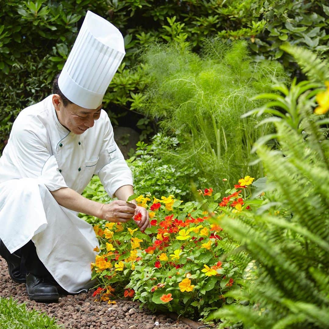 THE WESTIN TOKYO | ウェスティンホテル東京のインスタグラム