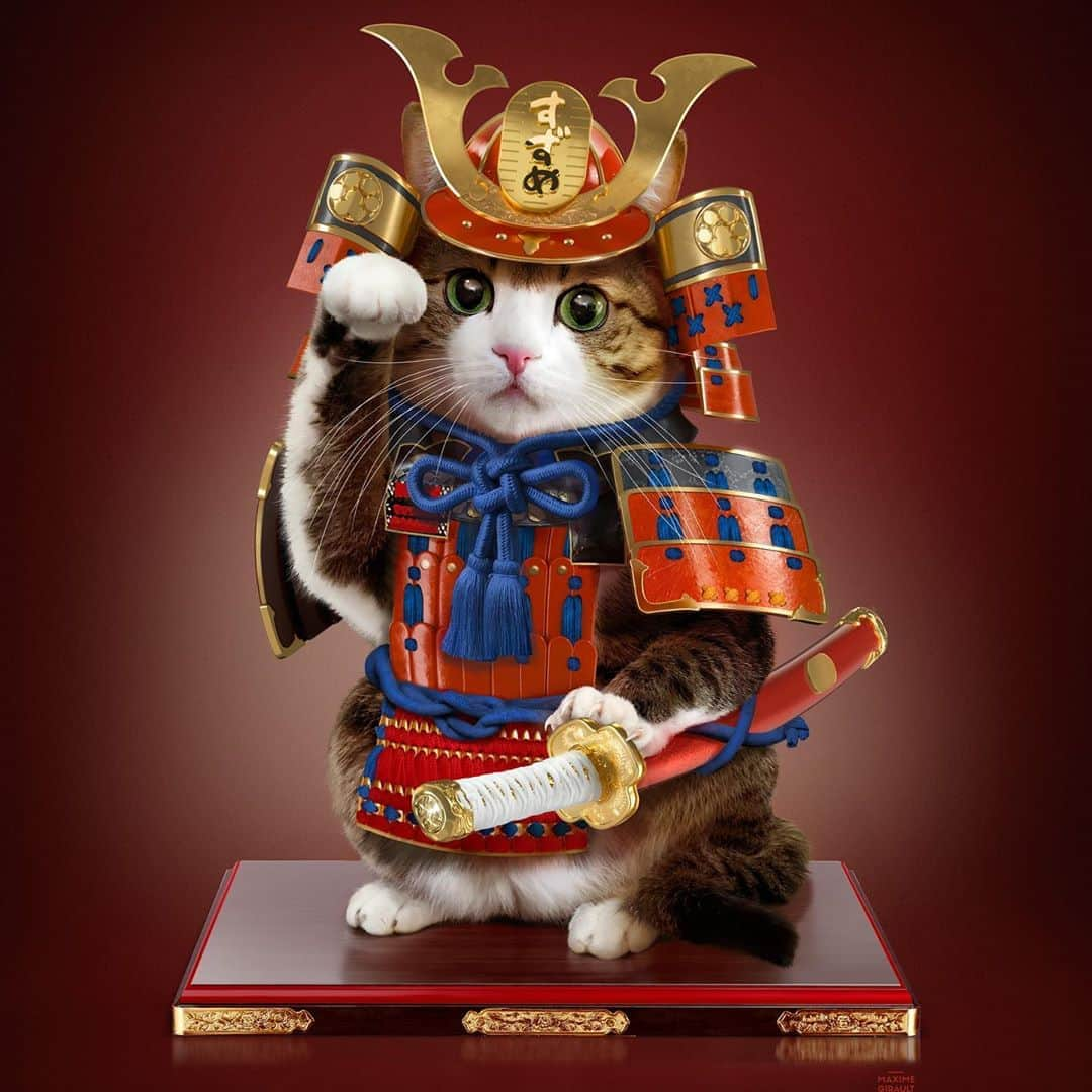 すずめくんさんのインスタグラム写真 - (すずめくんInstagram)「🐈🌟  Japanese samurai.  Very great!  I like it very much.  Thank you💗💗 @maxximegirault   海外のアーティストさんがすずめをモデルにしてくださいました！！  ありがとうございます🥺❣️  #猫 #ねこ #neko #cat #cats #すずめ #うなぎ #suzume #unagi  #catsofinstagram #cats_of_world」8月24日 19時07分 - suzume0513