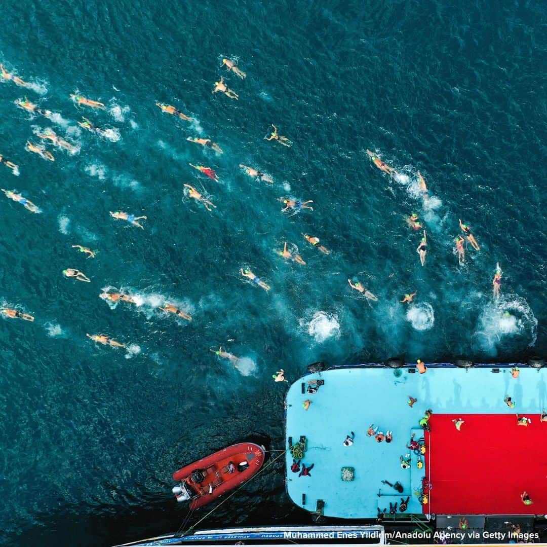 ABC Newsさんのインスタグラム写真 - (ABC NewsInstagram)「Swimmers compete during 32nd Bosphorus Cross-Continental Swimming Race organized by the Turkish Olympic Committee in Istanbul. #swimming #aerial」8月24日 19時11分 - abcnews