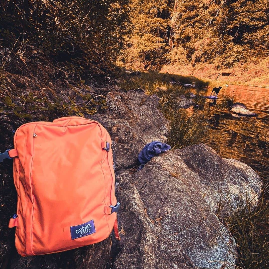 CABINZEROさんのインスタグラム写真 - (CABINZEROInstagram)「Such a beautiful day ! Thank you so much for the photo @lovenlo ❤️📸📸📸 #cabinzero #backpack #repost #photooftheday #thankyou #amazing #photo #instagood #lightroom #classic #backpacking #holiday #travelling #travellife #travellover #traveller #travelblogger #photodaily #photoshoot #photographer #travelbags #staysafe」8月24日 19時18分 - cabinzero