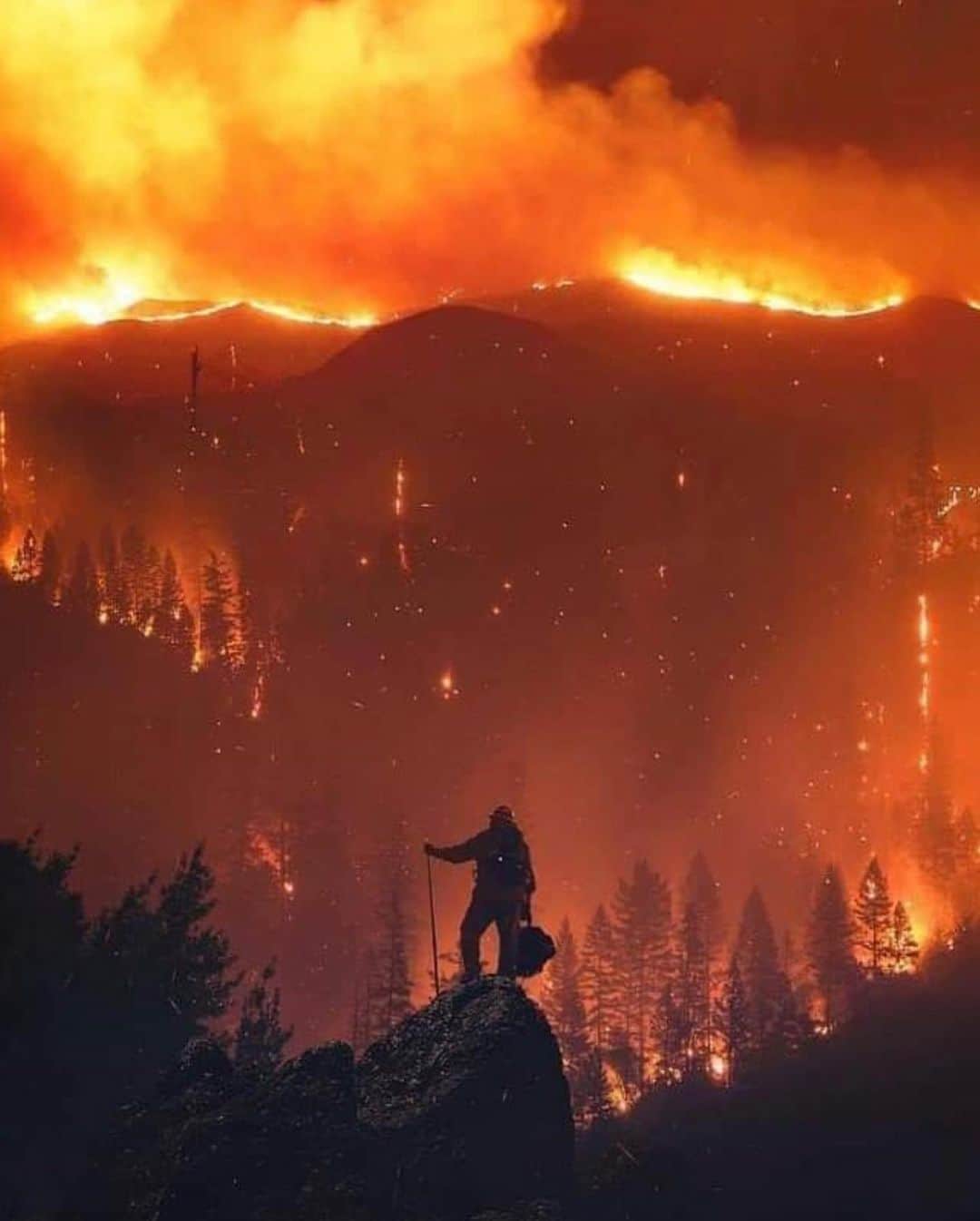 Jackson Harriesさんのインスタグラム写真 - (Jackson HarriesInstagram)「I’m devastated to hear about the unprecedented wildfires currently burning across Northern California. Last year I had the chance to spend time in these beautiful old growth forests, and it’s hard to comprehend what is being lost.  This comes at the same time as two major hurricanes are headed toward the US Gulf Coast, and reports that the Greenland Ice sheet is experiencing record amounts of Ice loss. This is what the climate crisis looks like, and the time to act is NOW.   My thoughts and prayers are with all those being affected, and the firefighters working tirelessly on the ground to keep everyone safe. 🙏🏼❤️」8月24日 19時40分 - jackharries