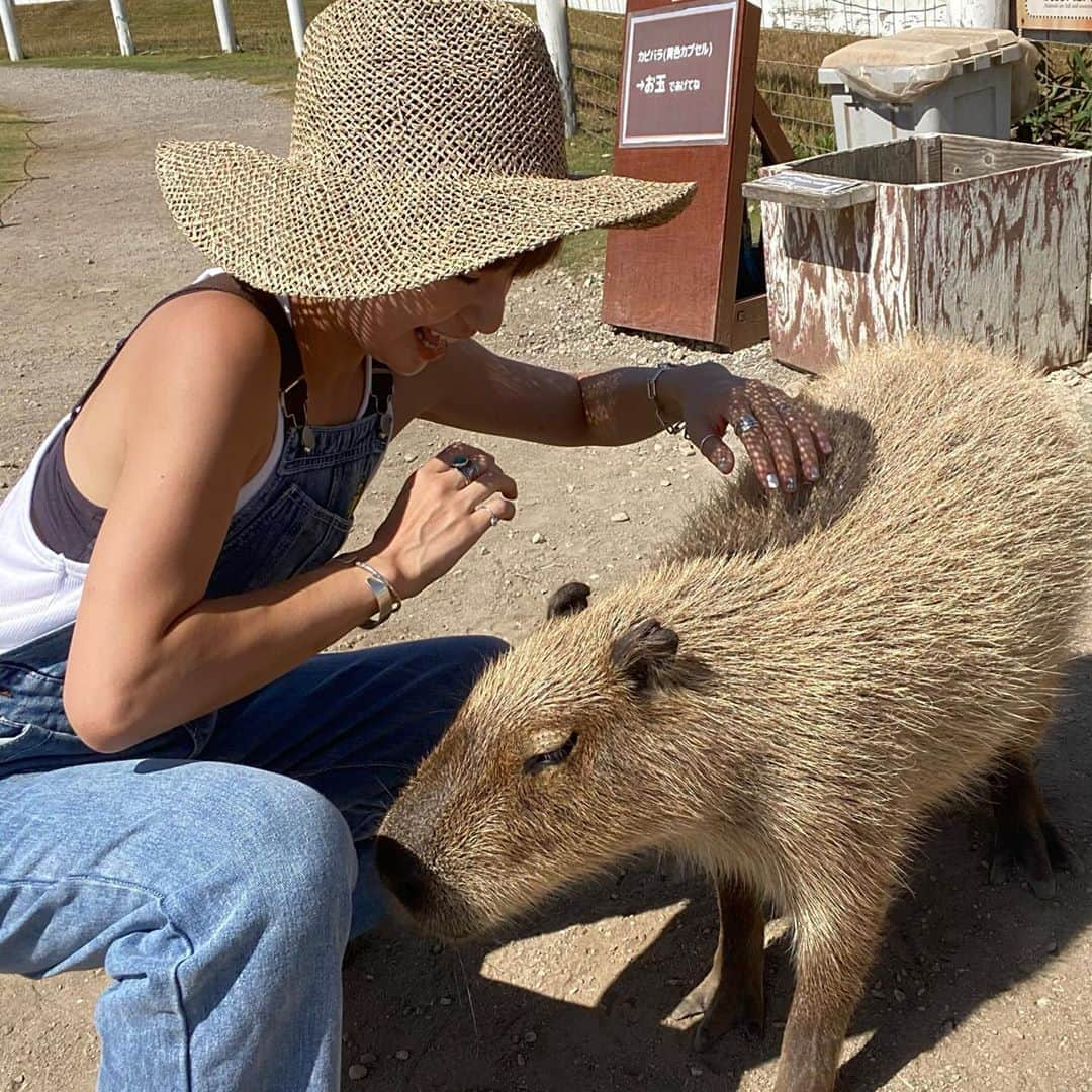 長谷川あやさんのインスタグラム写真 - (長谷川あやInstagram)「🦦🦦🦦#kanagawa#trip#travel#japan#あや旅成長日記#家族旅行#小夏のいる生活#ソレイユの丘#カピバラ ・ ・ ・ カピバラちゃんこんにちは😆‼️‼️‼️ 友達ファミリーとちょこっと遅めの夏休み👨‍👩‍👧💓 ・ ぐいぐいくる羊さんに 勇敢に立ち向かう小夏さんと全力で遊ぶ大人達と みんなで動物呼ぶ子供達に癒された1日🤎」8月24日 19時33分 - ayasuke_0516