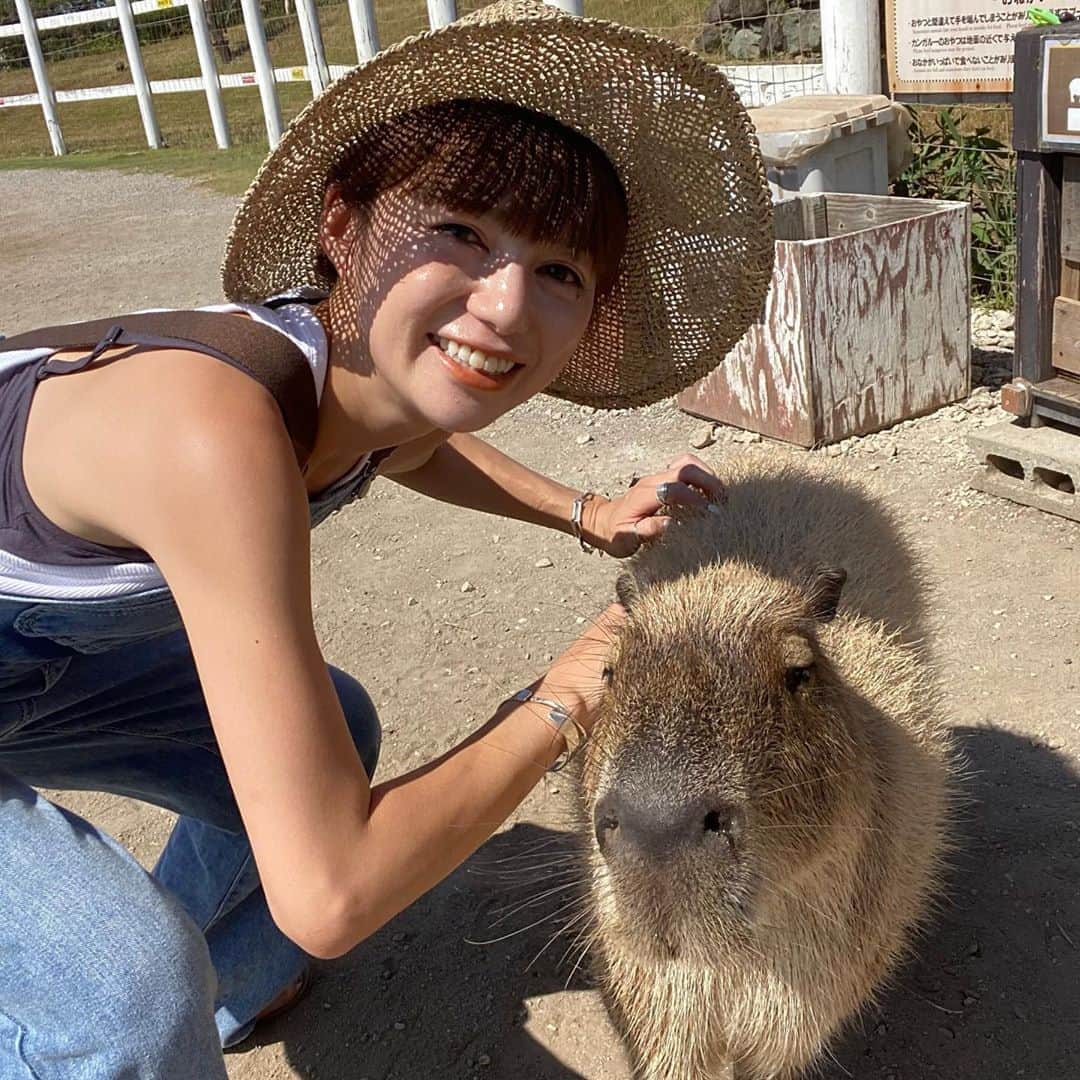 長谷川あやのインスタグラム：「🦦🦦🦦#kanagawa#trip#travel#japan#あや旅成長日記#家族旅行#小夏のいる生活#ソレイユの丘#カピバラ ・ ・ ・ カピバラちゃんこんにちは😆‼️‼️‼️ 友達ファミリーとちょこっと遅めの夏休み👨‍👩‍👧💓 ・ ぐいぐいくる羊さんに 勇敢に立ち向かう小夏さんと全力で遊ぶ大人達と みんなで動物呼ぶ子供達に癒された1日🤎」