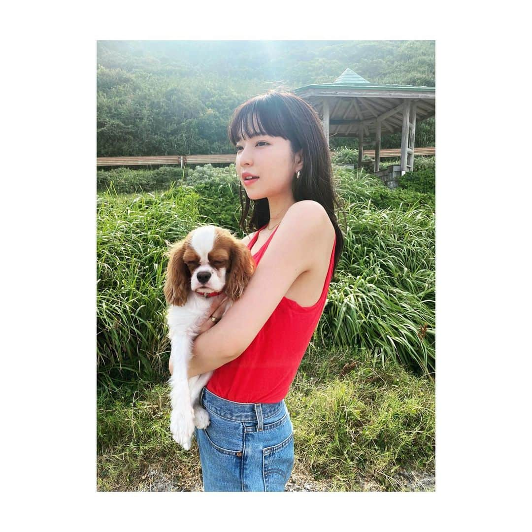 田中芽衣（めいめろ）さんのインスタグラム写真 - (田中芽衣（めいめろ）Instagram)「🐕‍🦺🌻🍉👖夏の思い出 デニムは古着です #めいしふく」8月24日 19時57分 - mei_tnk