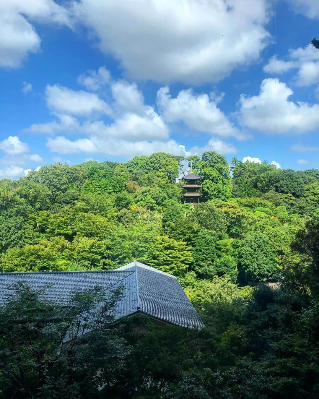 中川友里さんのインスタグラム写真 - (中川友里Instagram)「東京なのに東京じゃないみたい🌱 #椿山荘 #東京　#休日　#森林浴　#森林浴🌳 #tokyo #japan #classic #hotel #gardel」8月24日 19時51分 - darayunya