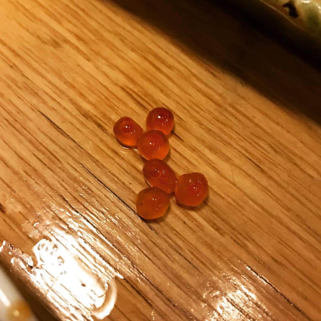 佐伯ポインティのインスタグラム：「ねえ、みて！オリオン座！」