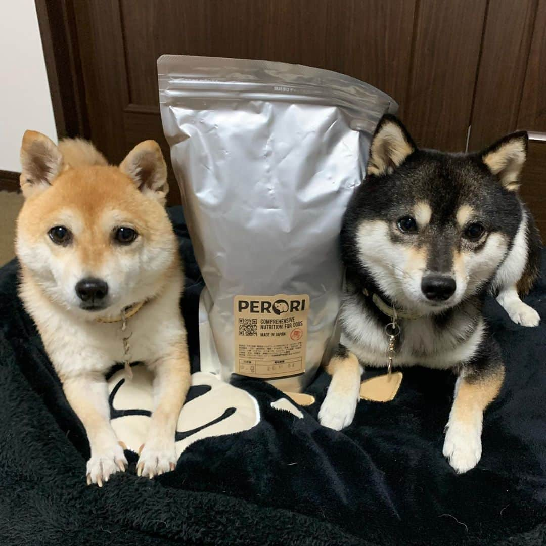 豆柴なつ&ふゆさんのインスタグラム写真 - (豆柴なつ&ふゆInstagram)「Dog food arrived😋❤️ @dogfood_perori さんのドッグフードが届きました😋❤️  無添加で食いつきも抜群😆‼️  #pr  #ドッグフードPERORI #ドッグフード  #dogfood #ペロリ #dogsofinstagram  #柴犬#shiba #shibainu #shibastagram #shibamania #sweet#豆柴#癒し #仲良し #pecoいぬ部#doglove #dogstagram #dogoftheday #かわいい#instashiba #🐕📷 #ふわもこ部#love#犬#シバフル#instacute #柴#proudshibas #cutepets」8月24日 20時58分 - mameshiba.natsuinu56