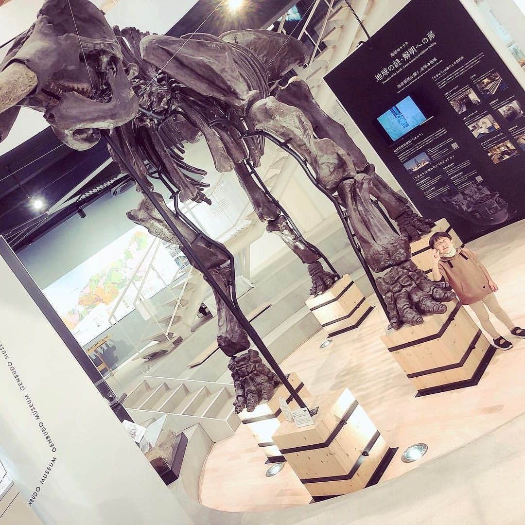 iko-yo（いこーよオフィシャル）さんのインスタグラム写真 - (iko-yo（いこーよオフィシャル）Instagram)「━━━━━━━━━━━━━━━﻿ 📸pickup...@chiko7333さん﻿ 🦖...#玄武洞ミュージアム﻿ 🚗...兵庫県豊岡市﻿ 国の天然記念物である玄武洞公園入口にある博物館です。美しく不思議な宝石・鉱物・化石のミュージアム！ かご編みや石のペンダント作りなどの体験もできます。﻿ ━━━━━━━━━━━━━━━﻿ ﻿ ＜faciities＞---------------------------﻿ 📍玄武洞ミュージアム﻿ いこーよ：https://iko-yo.net/facilities/66995﻿ 住所：兵庫県豊岡市赤石1362﻿ 営業時間： 9:00～17:00﻿ 料金：大人（中学生以上）800円、小学生400円、5歳以上300円﻿ ------------------------------------------﻿ ﻿  いこーよ@ikoyo_odekake では素敵な写真をピックアップし、「親子でおでかけしたい場所」をご紹介させていただいています😊❣️﻿ ﻿ お子さんとのおでかけの思い出の写真を、このアカウントをフォローの上 #いこーよ を付けてぜひ投稿してください。魅力的な写真は、いこーよ公式SNSで紹介させていただきます！ 沢山のご投稿お待ちしております。﻿ ﻿ ✨募集中タグ #いこーよ﻿ ﻿ 📱子供の年齢に合ったおでかけ先が見つかる「いこーよ」公式アプリのダウンロードはAppStore 、Google Playで「いこーよ」で検索！﻿ ・﻿ ・」8月24日 20時54分 - ikoyo_odekake