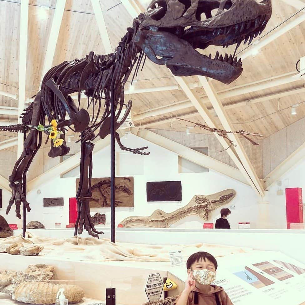iko-yo（いこーよオフィシャル）さんのインスタグラム写真 - (iko-yo（いこーよオフィシャル）Instagram)「━━━━━━━━━━━━━━━﻿ 📸pickup...@chiko7333さん﻿ 🦖...#玄武洞ミュージアム﻿ 🚗...兵庫県豊岡市﻿ 国の天然記念物である玄武洞公園入口にある博物館です。美しく不思議な宝石・鉱物・化石のミュージアム！ かご編みや石のペンダント作りなどの体験もできます。﻿ ━━━━━━━━━━━━━━━﻿ ﻿ ＜faciities＞---------------------------﻿ 📍玄武洞ミュージアム﻿ いこーよ：https://iko-yo.net/facilities/66995﻿ 住所：兵庫県豊岡市赤石1362﻿ 営業時間： 9:00～17:00﻿ 料金：大人（中学生以上）800円、小学生400円、5歳以上300円﻿ ------------------------------------------﻿ ﻿  いこーよ@ikoyo_odekake では素敵な写真をピックアップし、「親子でおでかけしたい場所」をご紹介させていただいています😊❣️﻿ ﻿ お子さんとのおでかけの思い出の写真を、このアカウントをフォローの上 #いこーよ を付けてぜひ投稿してください。魅力的な写真は、いこーよ公式SNSで紹介させていただきます！ 沢山のご投稿お待ちしております。﻿ ﻿ ✨募集中タグ #いこーよ﻿ ﻿ 📱子供の年齢に合ったおでかけ先が見つかる「いこーよ」公式アプリのダウンロードはAppStore 、Google Playで「いこーよ」で検索！﻿ ・﻿ ・」8月24日 20時54分 - ikoyo_odekake