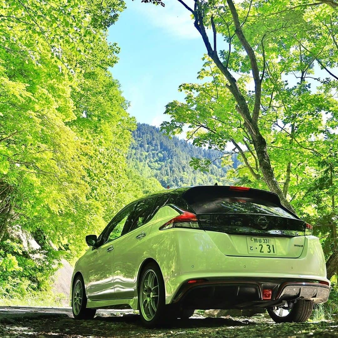のインスタグラム：「Blending in an homage to beautiful mother nature #NissanLEAF #SimplyAmazing 📷 @aranao_r32」