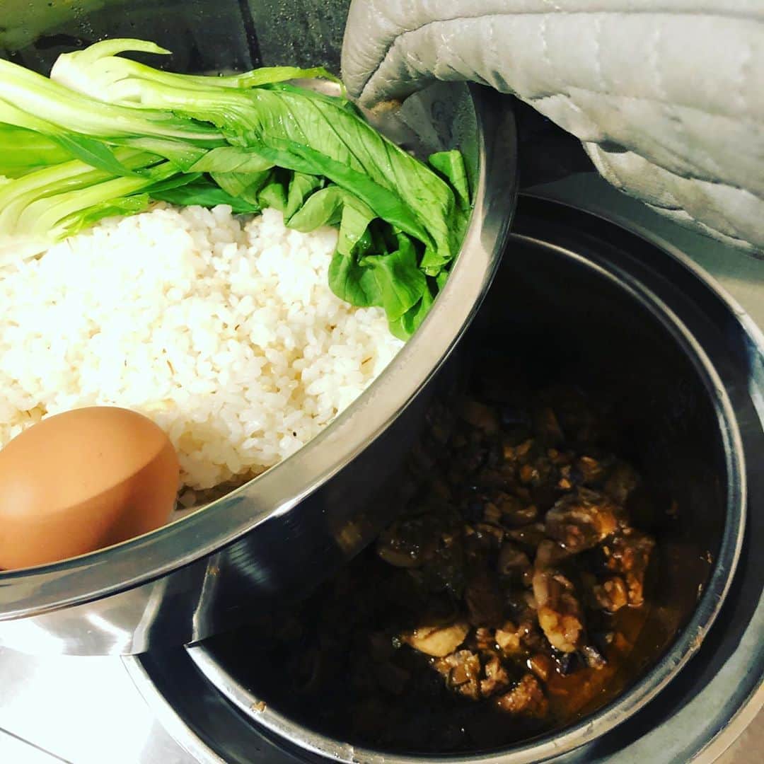 池田有希子のインスタグラム：「今夜は下で魯肉飯、上で冷凍ご飯と卵と青梗菜を蒸しました。魯肉飯は昨日下茹でしたのを内鍋ごと冷蔵庫に入れて一晩置いてから上に浮いた脂をバコっと取り除いてから味付け煮込みしたからless guiltyバージョンだよ。わたくし、もう完全に#電鍋 に生かされています。 #大同電鍋　#電鍋料理」