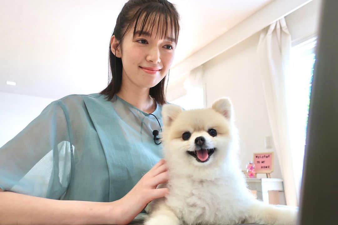 佐藤栞里さんのインスタグラム写真 佐藤栞里instagram 先日のはなとのお仕事は 昨日の24時間テレビで流れた はるちゃんと41人で繋ぐリレー動画 でした リモートでの撮影は 前後のシーンをイメージしながら試行錯誤を重ねて それはバトンを繋いでいくような