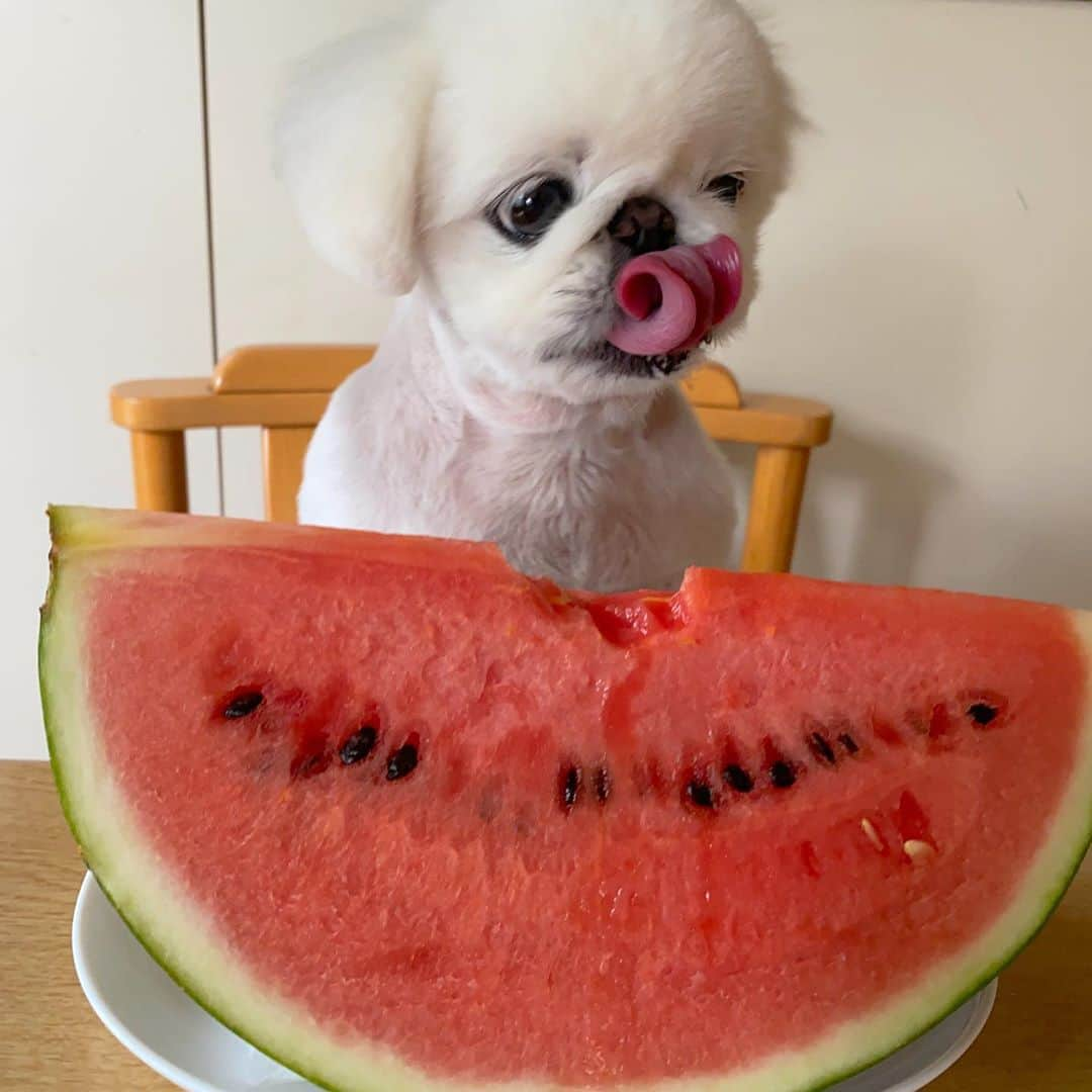 こなつさんのインスタグラム写真 - (こなつInstagram)「今年は何個食べたかな🤤🍉🍉」8月24日 22時23分 - nattsxx