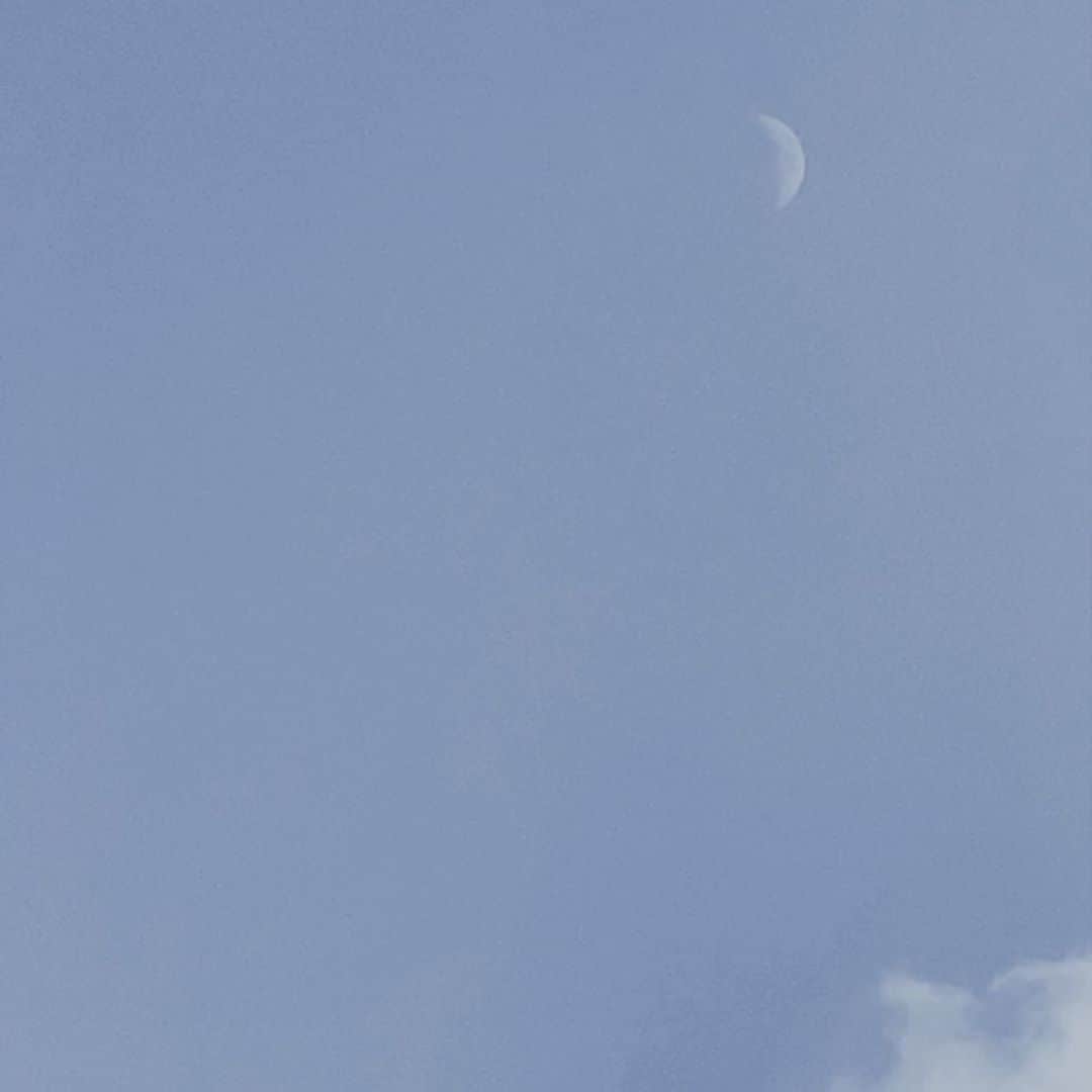 のインスタグラム：「お昼に月みた🌙」