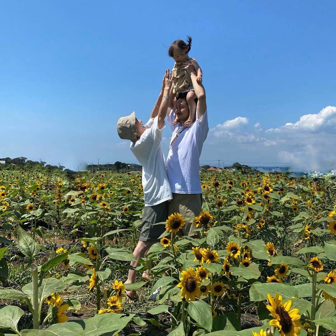 長谷川あやのインスタグラム：「🌻🌻🌻#kanagawa#trip#travel#japan#あや旅成長日記#家族旅行#小夏のいる生活#ソレイユの丘#ひまわり畑 ・ ・ ・ 今年は諦めていたひまわり畑なのですが ひょんなきっかけで出会えましたっ👨‍👩‍👧💓 ・ 昼間思いっきり遊びまわったおかげで 大人も子供もみんなぐっすり、、、おやすみなさい😴🌙」