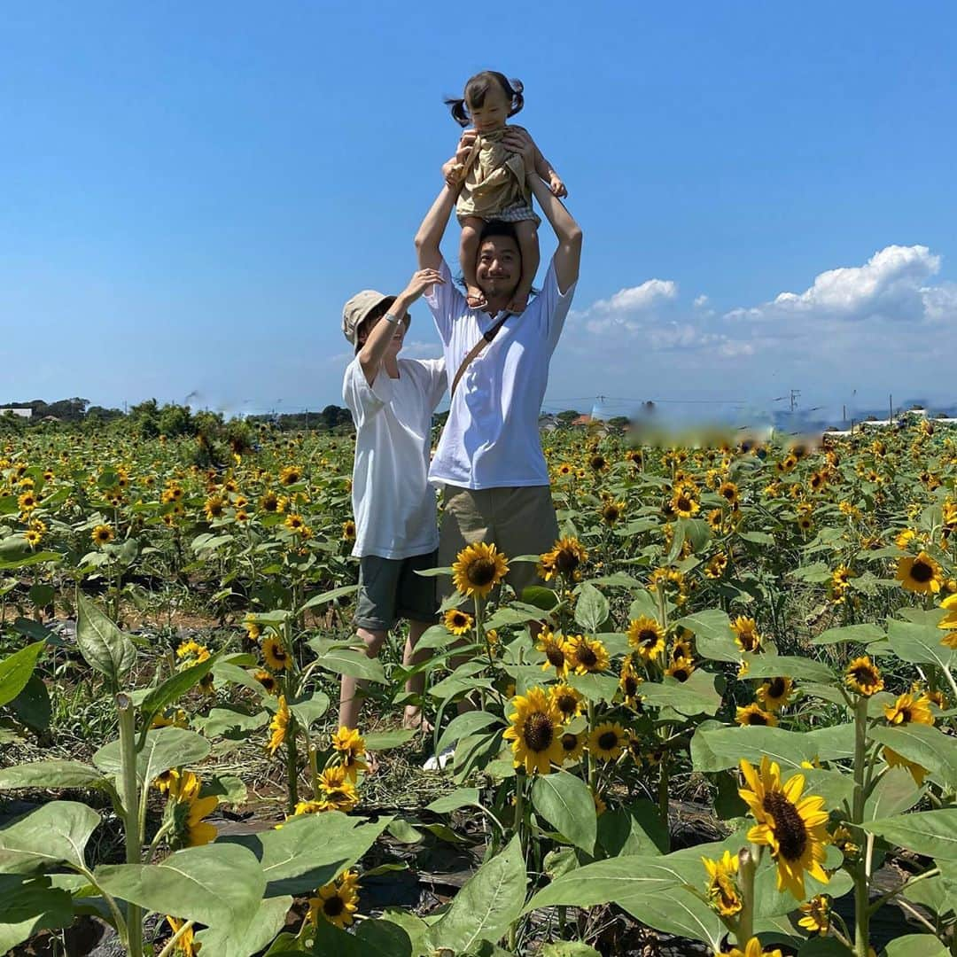 長谷川あやさんのインスタグラム写真 - (長谷川あやInstagram)「🌻🌻🌻#kanagawa#trip#travel#japan#あや旅成長日記#家族旅行#小夏のいる生活#ソレイユの丘#ひまわり畑 ・ ・ ・ 今年は諦めていたひまわり畑なのですが ひょんなきっかけで出会えましたっ👨‍👩‍👧💓 ・ 昼間思いっきり遊びまわったおかげで 大人も子供もみんなぐっすり、、、おやすみなさい😴🌙」8月24日 22時42分 - ayasuke_0516