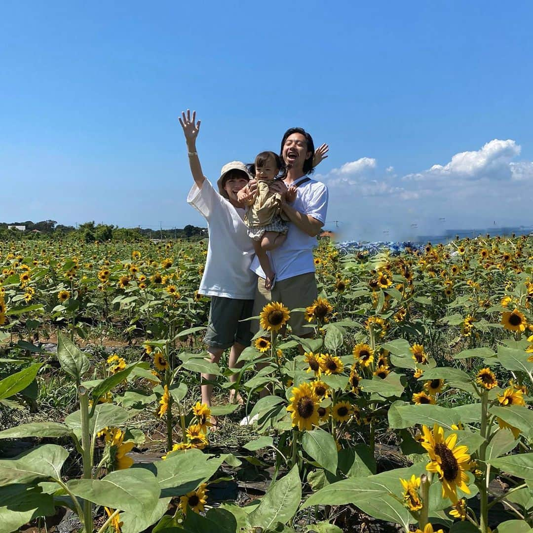 長谷川あやさんのインスタグラム写真 - (長谷川あやInstagram)「🌻🌻🌻#kanagawa#trip#travel#japan#あや旅成長日記#家族旅行#小夏のいる生活#ソレイユの丘#ひまわり畑 ・ ・ ・ 今年は諦めていたひまわり畑なのですが ひょんなきっかけで出会えましたっ👨‍👩‍👧💓 ・ 昼間思いっきり遊びまわったおかげで 大人も子供もみんなぐっすり、、、おやすみなさい😴🌙」8月24日 22時42分 - ayasuke_0516