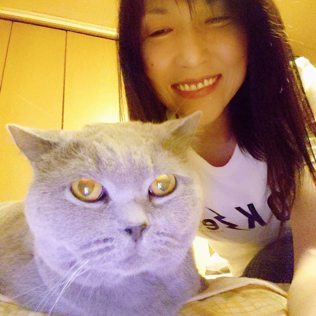 KAORUさんのインスタグラム写真 - (KAORUInstagram)「ただいま(*^^*)  #Marvelouspro #ブリティッシュショートヘア  #猫 #帰宅」8月24日 22時55分 - yukisaku_88