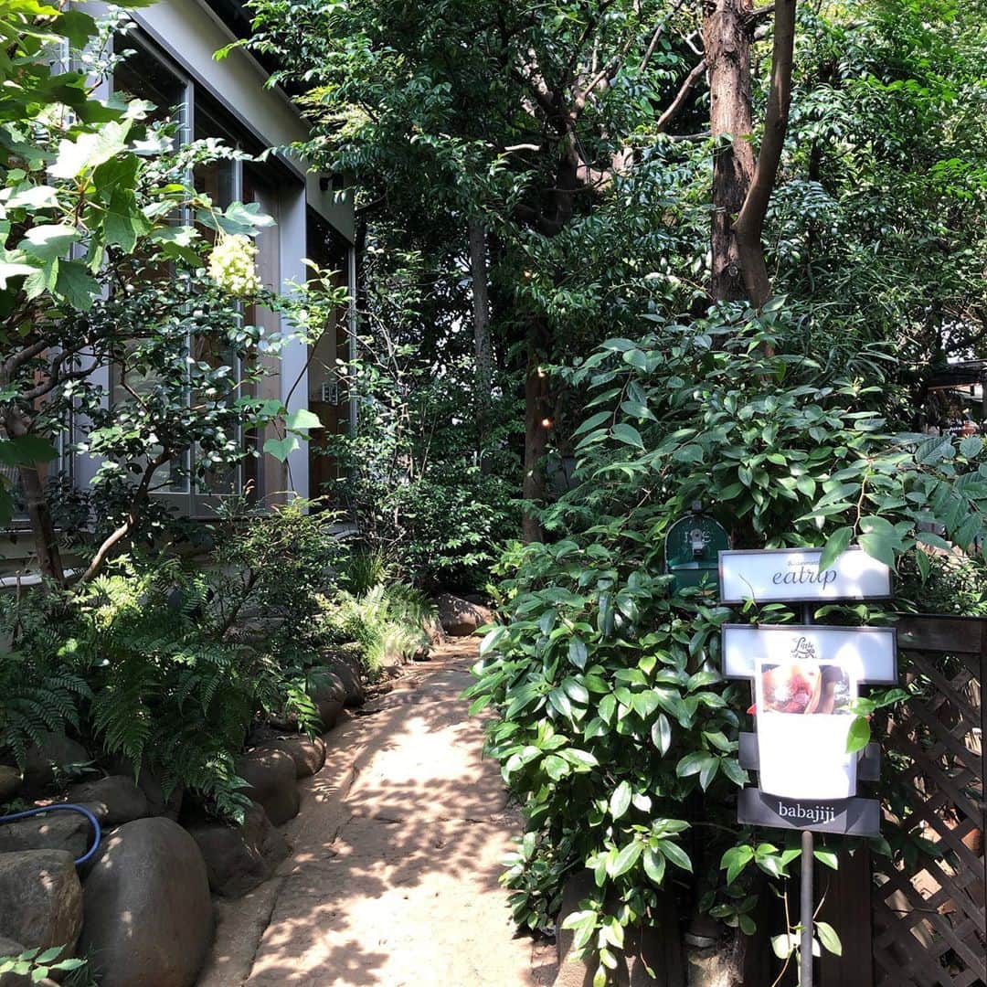 小泉里奈のグルメインスタ