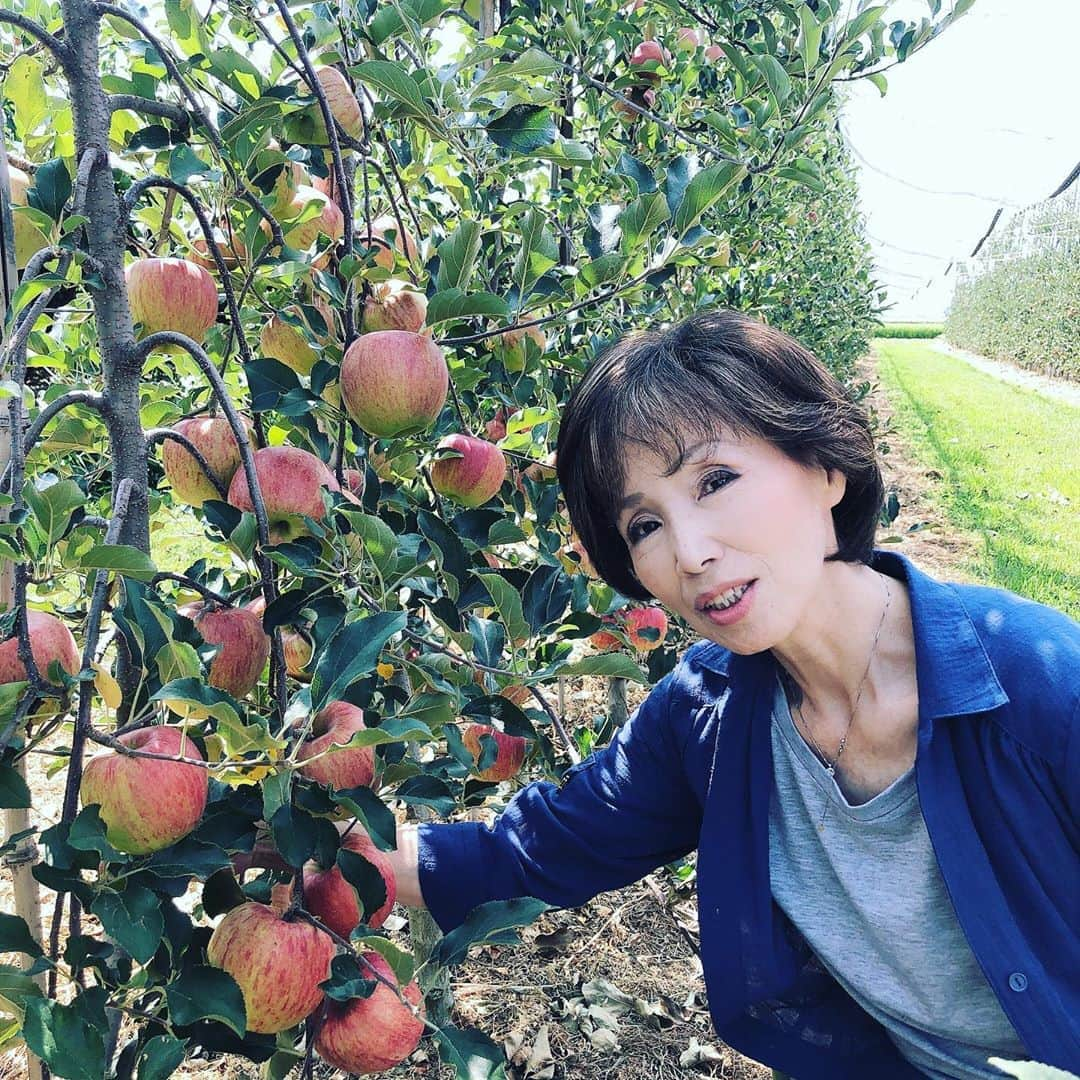 青山加織さんのインスタグラム写真 - (青山加織Instagram)「☆ Happybirthday!!! MAMA💕 2020.8.24 ☆ なかなか会えないけど、今年はママの誕生日を一緒にお祝いできました🎶 いつまでも元気でいてね😘」8月24日 22時57分 - kaoriaoyama_official